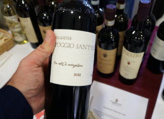 L’Enolibreria di Carpineto: un viaggio nel tempo tra i grandi vini toscani