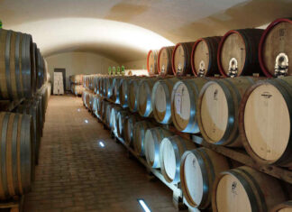 Panzano in Chianti, “Vino al Vino” torna in un nuovo format