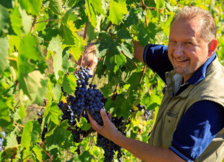 Vendemmia in festa e cena in giardino