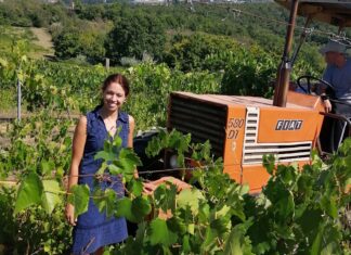 Vino, la Regina Bianca e i Re rossi rilanciano il turismo toscano