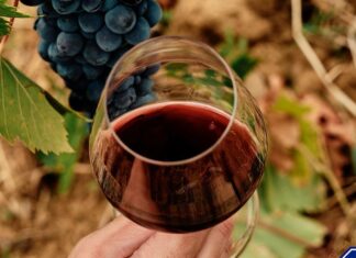 Morellino di Scansano DOCG, la dicitura “Toscana” va in etichetta