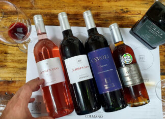 Colmano, il vino che non ti aspetti