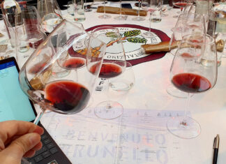 Brunello 2017, una annata che saprà farsi scoprire