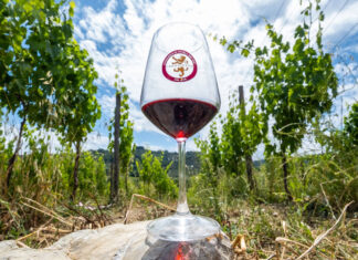 Carmignano Docg, verso il riconoscimento ministeriale