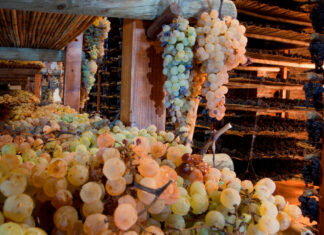 Mentepulciano (Si) celebra il Vin Santo