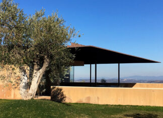 Vini in piena luce e suggestioni da “L’uomo nell’ombra”