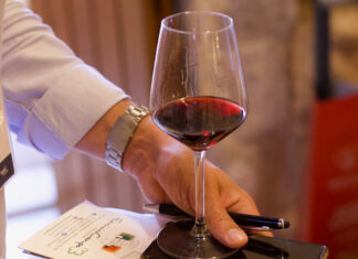 Radici del Sud, a Giugno in scena la XVII edizione