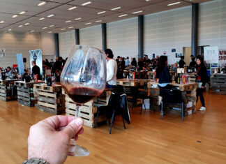 Dall’Amarone al Nero di Troia, la selezione Borgo DiVino 2022