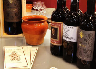 Marchesi Gondi, produttori di vino da 25 generazioni