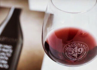 Rome Wine Expo, la masterclass di Albugnano 549