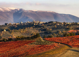 Umbria in Anteprima, le nuove annate di 4 consorzi