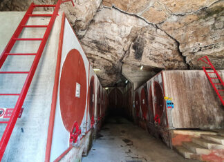 Tai, Garganega e Carmenere: il tour nella terra rossa dei Colli Berici