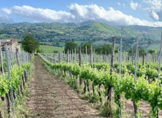 Ad Avellino incontro internazionale per la creazione del “Brand Irpinia”