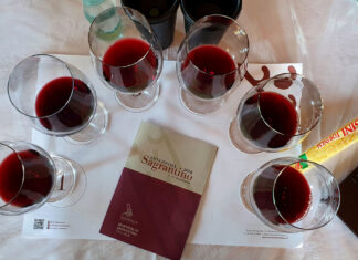 Sagrantino 2018, quando l’annata fa la differenza