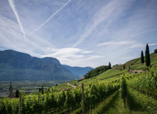 Fitofarmaci, presentata la proposta di regolamento Ue che riduce l’uso del 50%