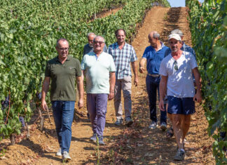 Poderi in Toscana, al via il progetto dei vignaioli di Morellino