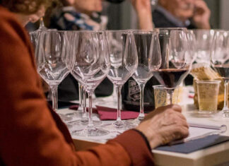 Vini dei Colli Berici: record di imbottigliamenti nel 2023