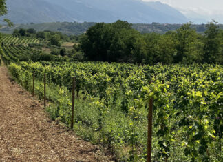 Dalla Luna del raccolto alla Luna degli antenati