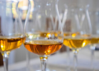 Note di Grappa: jazz e cocktail a Santa Massenza