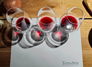 Terra di Seta, tutta la verticalità di Vagliagli