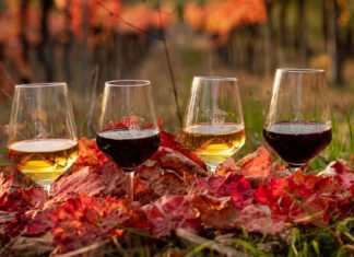 Montefalco: foliage Sagrantino, eventi e novità autunnali