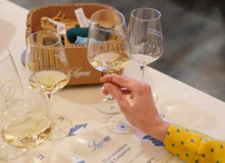 Lugana DOC, il 2023 all’insegna della promozione del territorio