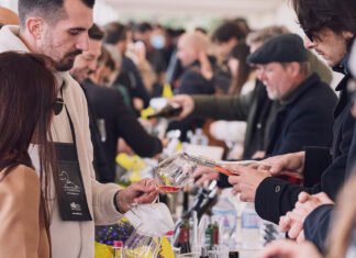 Il calendario delle anteprime del vino in Italia: Febbraio a Dicembre