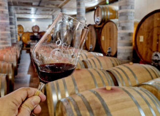 Cantina Dei, un viaggio nella bellezza