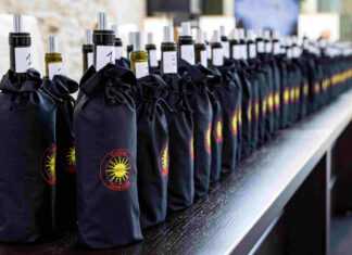 Colline Teramane, focus sul Montepulciano d’Abruzzo