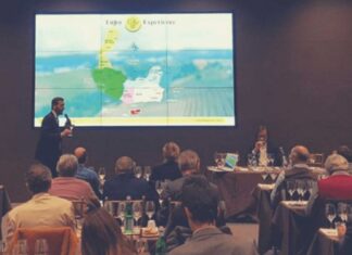 Collio Day 2023, l’evento itinerante