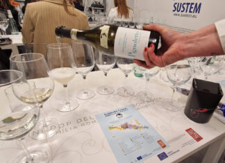 Pignoletto, la perla dei Colli Bolognesi