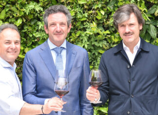 Marchesini confermato presidente consorzio vini valpolicella