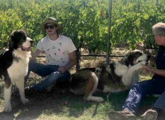 A Montepulciano Calici di Stelle si fa “pet friendly”