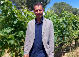 Il Consorzio Suvereto e Val di Cornia dice no a pale eoliche