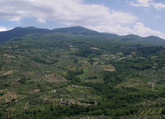 Monte Amiata, ambita meta per vigneron