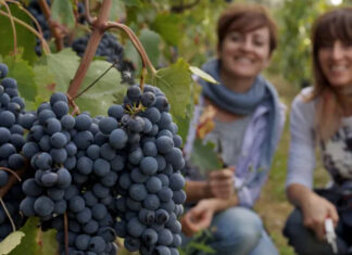 Un viaggio nei tesori del Chianti Classico d’altura