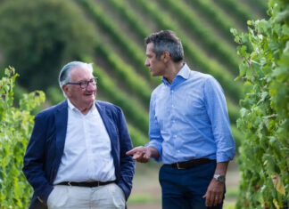 Vino, Umani Ronchi cantina dell’anno per il Gambero Rosso