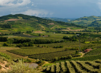 Uiv critica estirpi e distillazione nel nuovo piano Ue