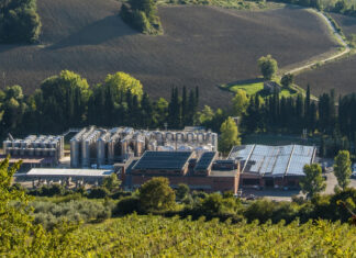 Cantina Colli Fiorentini, buone prospettive per l’annata 2023