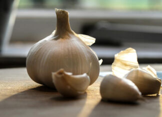 Aglione della Valdichiana: Regione Toscana favorevole alla DOP