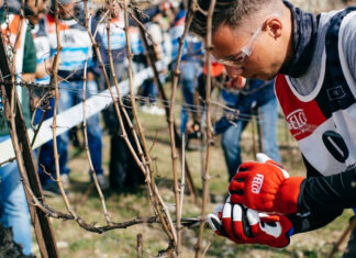 Il Chianti Classico Ospita il 2° Festival del Potatore
