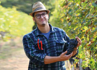 Canavese: Luca Leggero e la rinascita vinicola