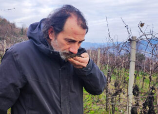 Alessandro Filippi: l’enologo dell’armonia naturale