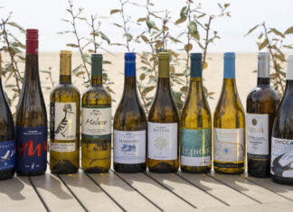 Vermentino Grand Prix: la Top Ten dei migliori