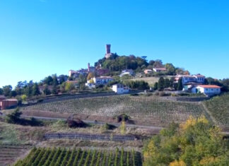 Festival Oltrepò: vini e sapori d’eccellenza