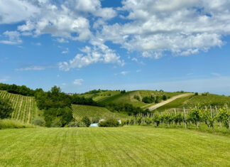 Aromatica: un viaggio sensoriale tra i profumi del vino