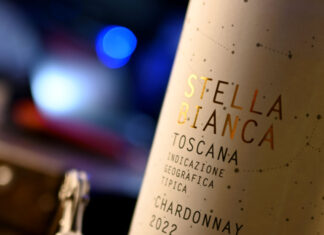 Stella Bianca, la pietra preziosa di Chiara Vinciarelli