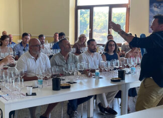 Cirò: un festival per scoprire il vino e il territorio