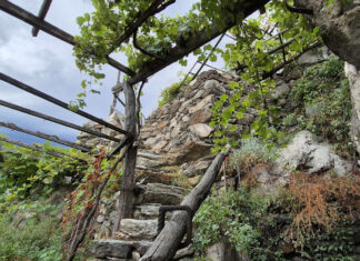 Terroir e Tradizione: i tesori vinicoli della Valle d’Aosta