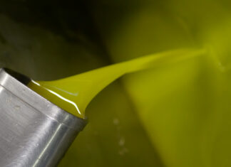 Reggello e il suo “Oro Verde”: in arrivo la 51ª Rassegna dell’Olio